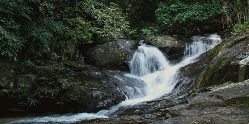 Đà Nẵng Yêu